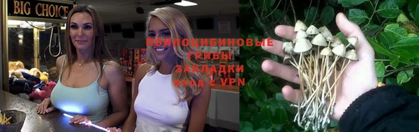 дурь Фурманов