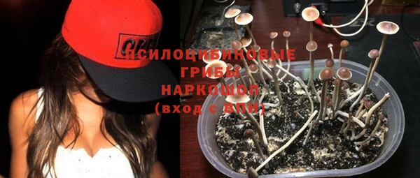 a pvp Хадыженск