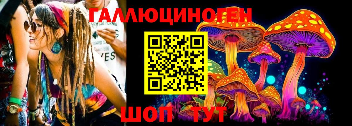 Галлюциногенные грибы Psilocybine cubensis  Вход с VPN  Псилоцибиновые грибы Psilocybe  Благодарный 